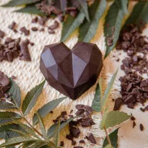 Foodsporen Mushroom Cacao Heart